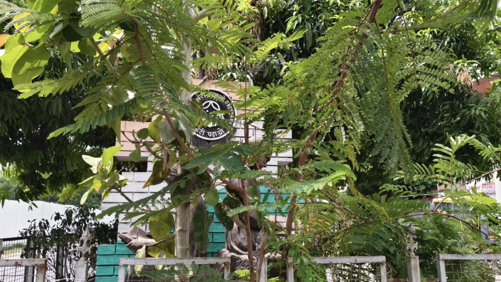 https://hinduprakashwarta.com/wp-content/uploads/2026/06/1002434163.jpg