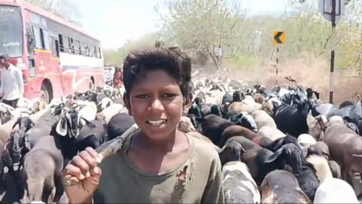 https://hinduprakashwarta.com/wp-content/uploads/2026/06/IMG-20260619-WA0070.jpg